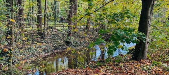 1 bedroom Apartment in Frankfurt am Main, Germany No. 64786 17