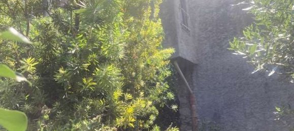 4 bedrooms House in Erli, Italy No. 372165 30