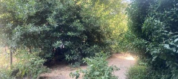 4 bedrooms House in Erli, Italy No. 372165 32