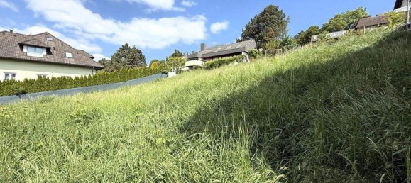 Terrain à Klosterneuburg, Austria No. 256242 3