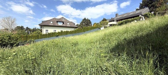 Terrain à Klosterneuburg, Austria No. 256242 4