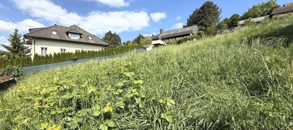 Terrain à Klosterneuburg, Austria No. 256242 5