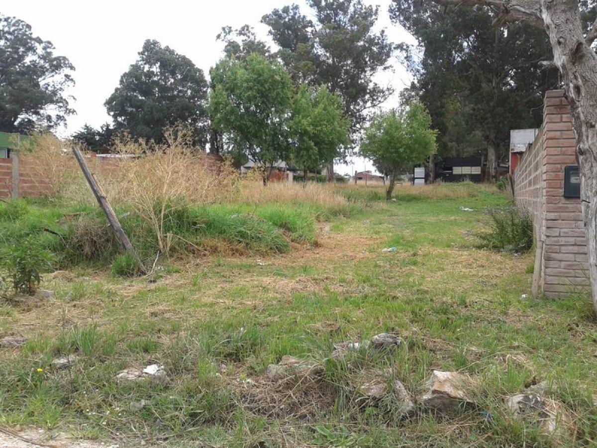  Land in Mar del Plata, Argentina No. 114371