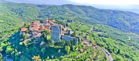 106m² Commercial property in Civitella in Val di Chiana, Italy No. 270050 9