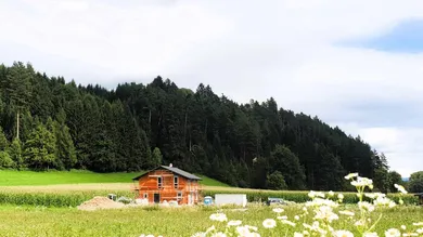 Terreno en Lendorf, Austria No. 212005