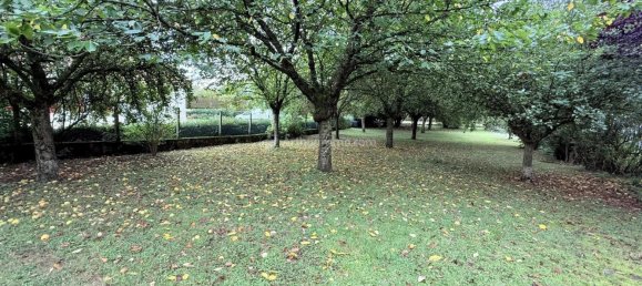 4 غرف نوم منزل في Saint-Blin, France رقم 361823 17