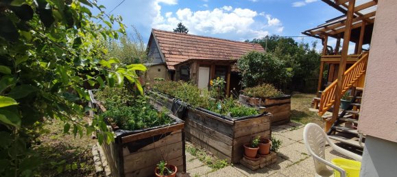 5 rooms House in Maissau, Austria No. 130010 15