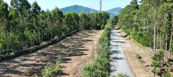 Terreno em Caminha, Portugal 4451 m² N.º 47169 2