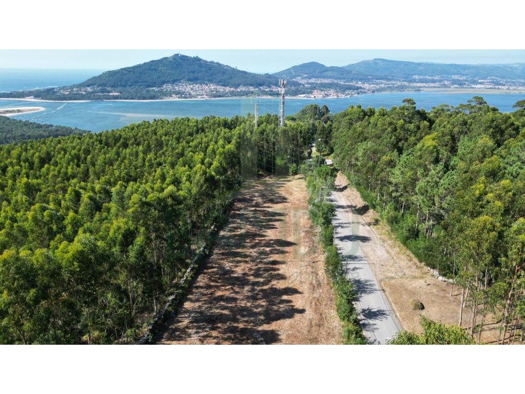 Terreno em Caminha, Portugal 4451 m² N.º 47169