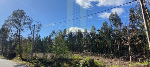 Terreno em Caminha, Portugal 4451 m² N.º 47169 6