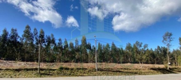 Terreno em Caminha, Portugal 4451 m² N.º 47169 5
