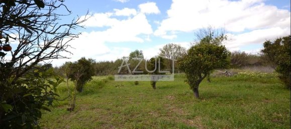 2 bedrooms Villa in Loule, Portugal No. 13882 3