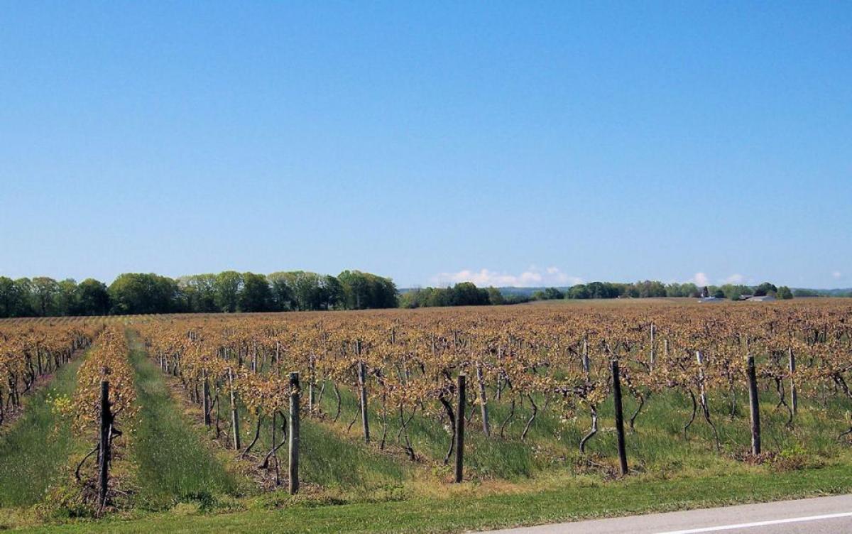 77m² Warehouse in Mendoza, Argentina No. 21880