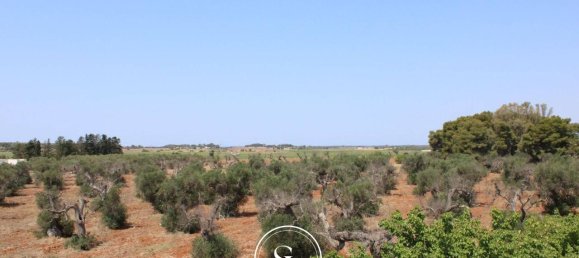 19 rooms Villa in Nardò, Italy No. 224875 7