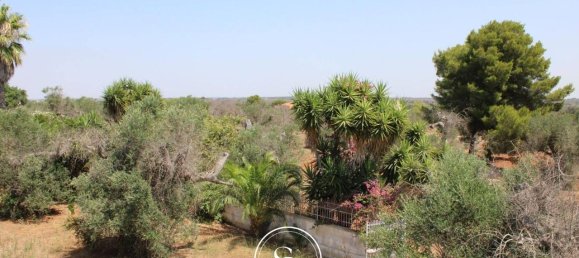 19 rooms Villa in Nardò, Italy No. 224875 6