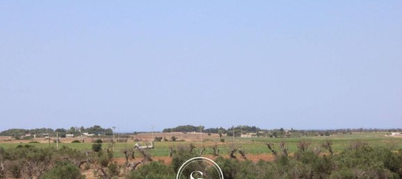 19 rooms Villa in Nardò, Italy No. 224875 8