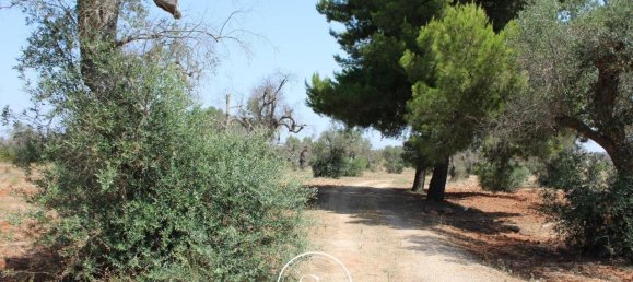 19 rooms Villa in Nardò, Italy No. 224875 2