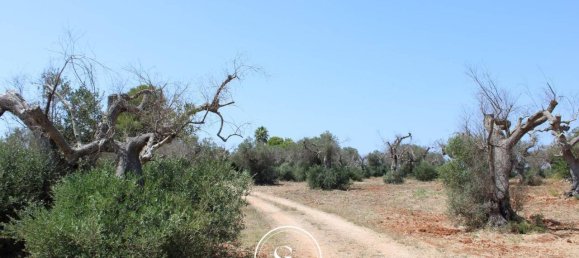 19 rooms Villa in Nardò, Italy No. 224875 3