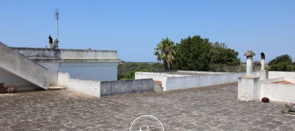 19 rooms Villa in Nardò, Italy No. 224875 5