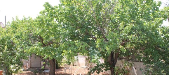 19 rooms Villa in Nardò, Italy No. 224875 23