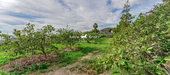 Terreno en San Miguel de Abona, Spain 5892 m² No. 129975 44