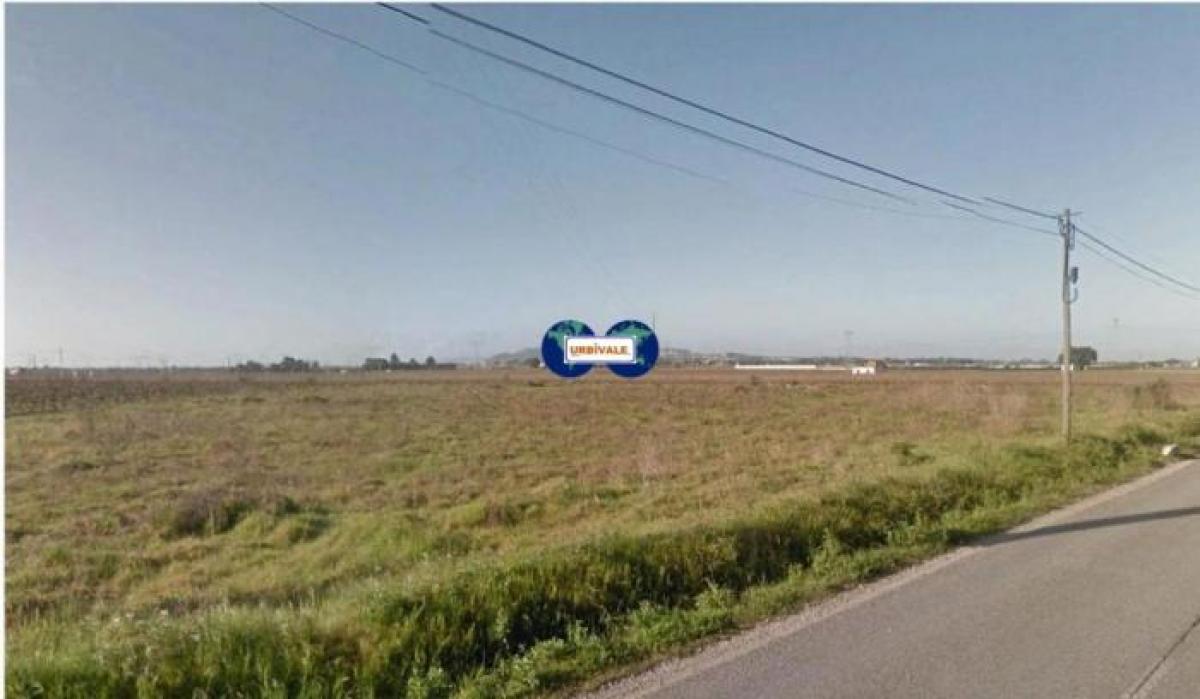 Grundstück in Palmela, Portugal, Nr. 8525