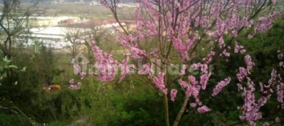 Villa de 6 dormitorios en Vezzano Ligure, Italy No. 256455 9