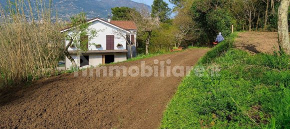 Villa de 6 dormitorios en Vezzano Ligure, Italy No. 256455 4