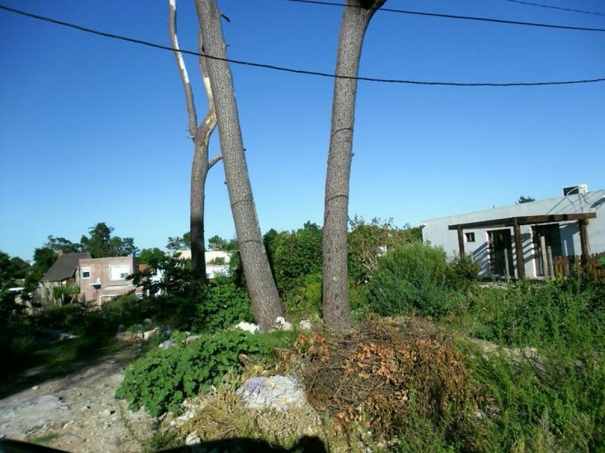 Terrain à Maldonado, Uruguay No. 14551