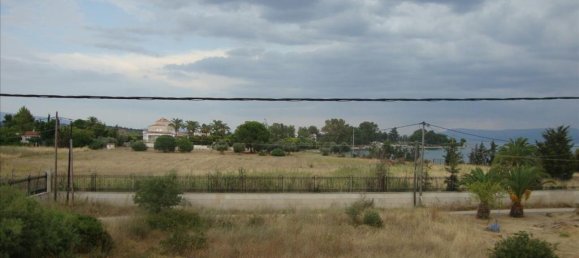 6 bedrooms Commercial property in Euboea, Greece No. 6708 12