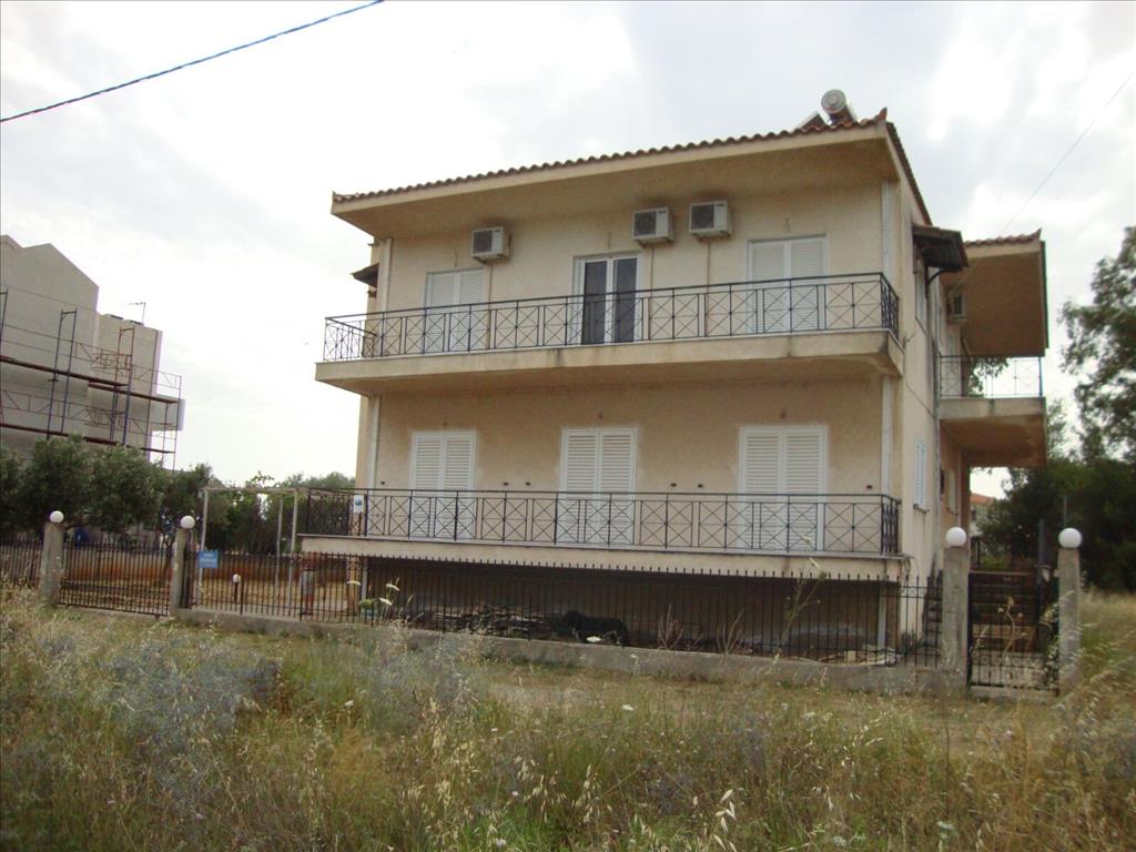 6 chambres propriété commerciale à vendre à Euboea, Central Greece, Thessaly and Central Greece, Greece № 6708