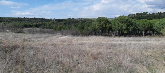 Armazém em Valladolid, Spain 7746 m² N.º 87065 8