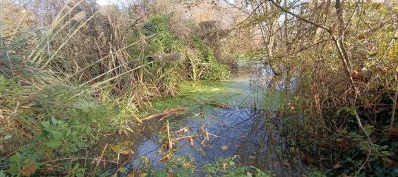 4 غرف نوم منزل في Sassay, France رقم 39725 14