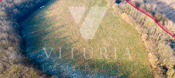 4 bedrooms House in Lippe, Germany No. 141996 23