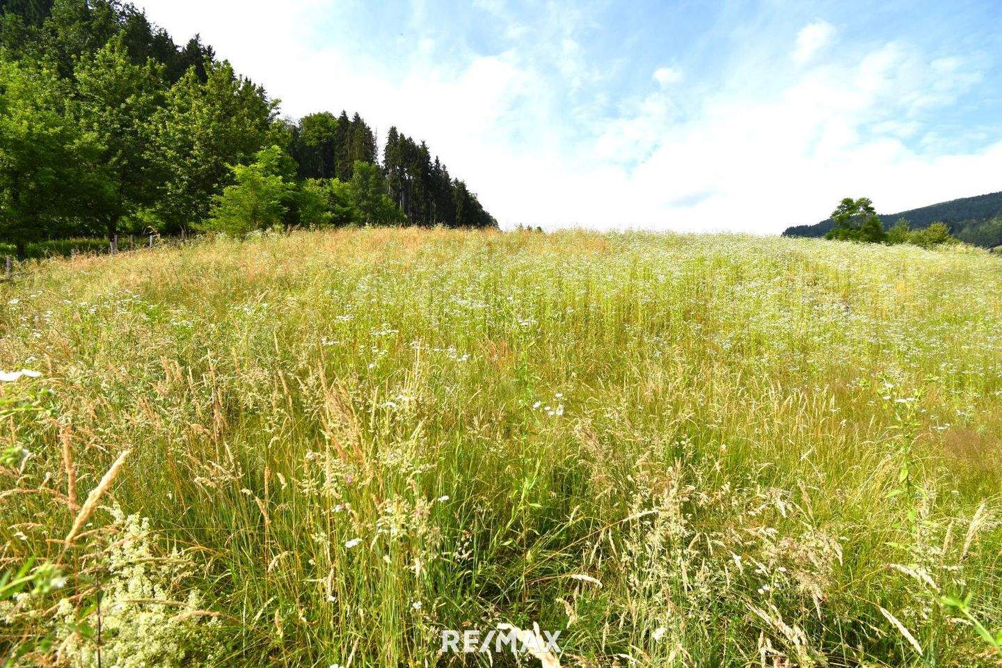  Land in Feldkirchen in Karnten, Austria No. 215812