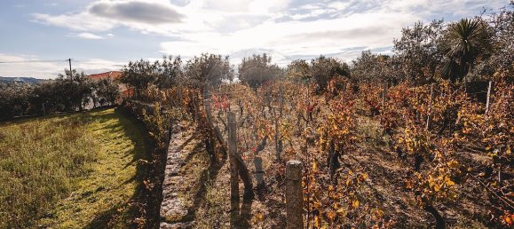 3 غرف نوم قلاع في Povolide, Portugal رقم 186221 10