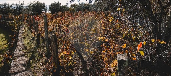 3 غرف نوم قلاع في Povolide, Portugal رقم 186221 9