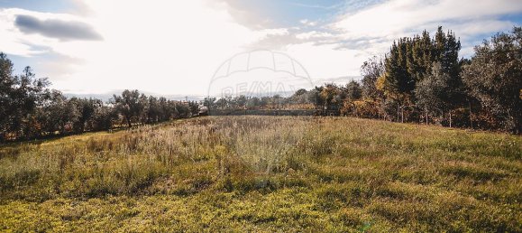 3 غرف نوم قلاع في Povolide, Portugal رقم 186221 5