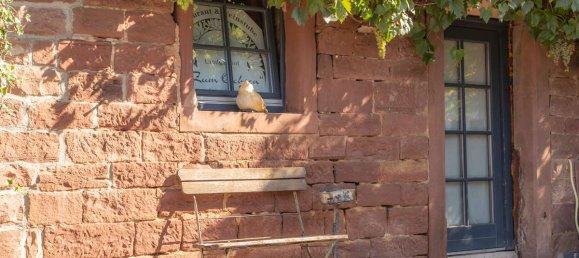 343m² Cafe / restaurant in Neckar-Odenwald-Kreis, Germany No. 369214 31