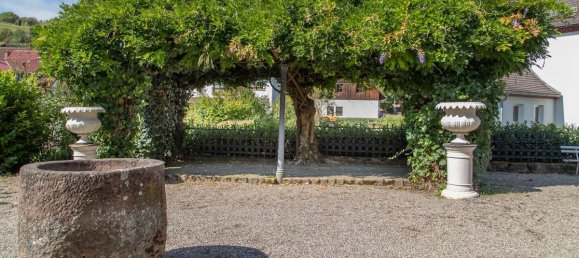 343m² Cafe / restaurant in Neckar-Odenwald-Kreis, Germany No. 369214 16