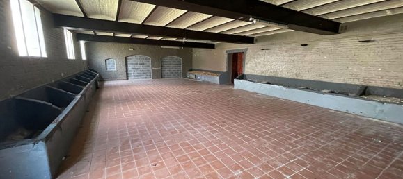 Terreno de 3 habitaciónes en Lambres-lez-Douai, France No. 89612 4