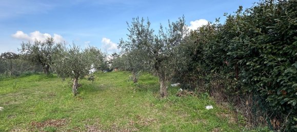 5غرفة فيلا في Frascati, Italy رقم 88928 36