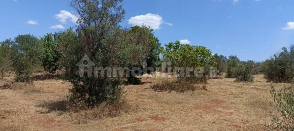  قطعة أرض في Ugento, Italy 18000متر مربع رقم 283475 11