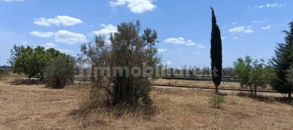  قطعة أرض في Ugento, Italy 18000متر مربع رقم 283475 6