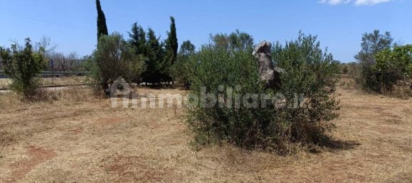  قطعة أرض في Ugento, Italy 18000متر مربع رقم 283475 12