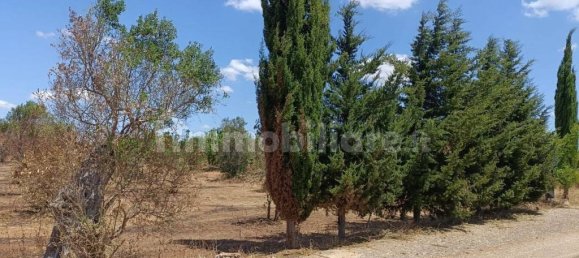  قطعة أرض في Ugento, Italy 18000متر مربع رقم 283475 3