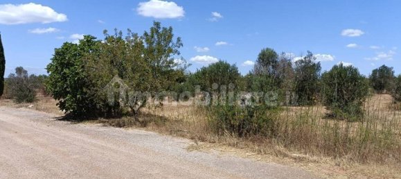  قطعة أرض في Ugento, Italy 18000متر مربع رقم 283475 2