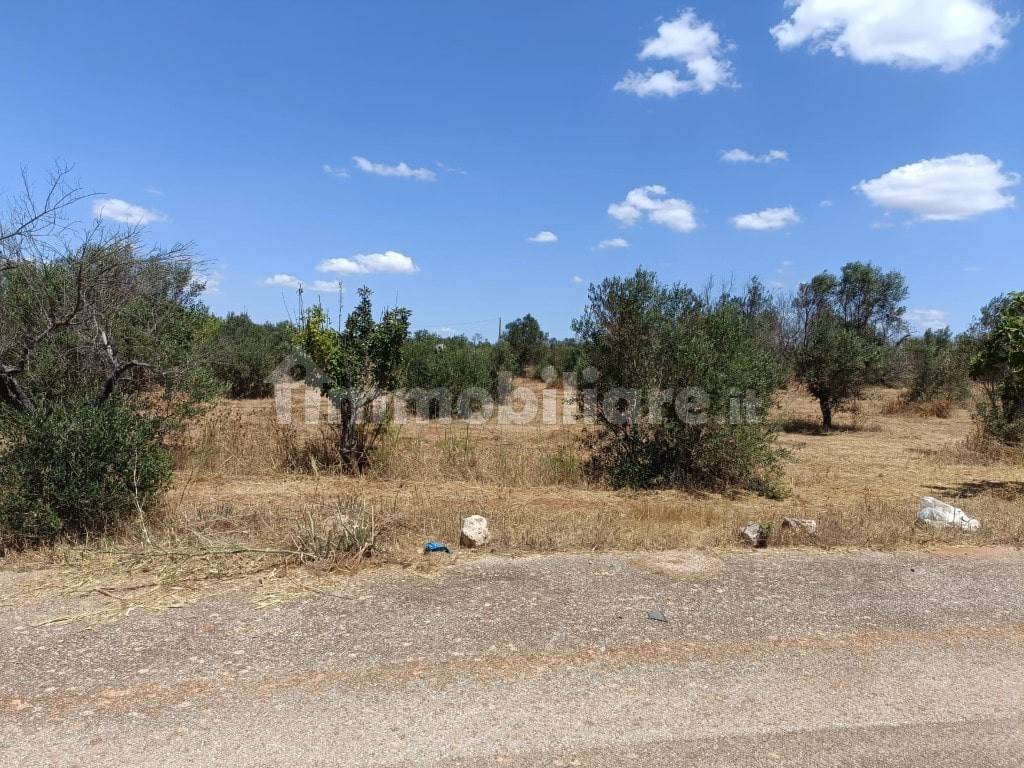  قطعة أرض في Ugento, Italy 18000متر مربع رقم 283475