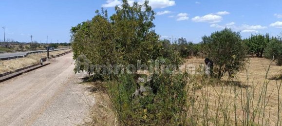  قطعة أرض في Ugento, Italy 18000متر مربع رقم 283475 4