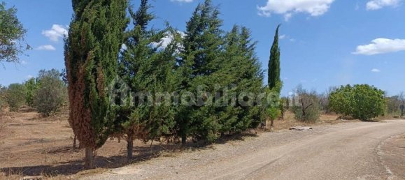  قطعة أرض في Ugento, Italy 18000متر مربع رقم 283475 5